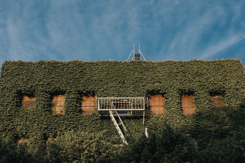 Jardim vertical em edifício