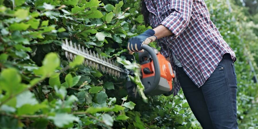 A manutenção de um corta-sebes Husqvarna: Como se afia o equipamento de corte