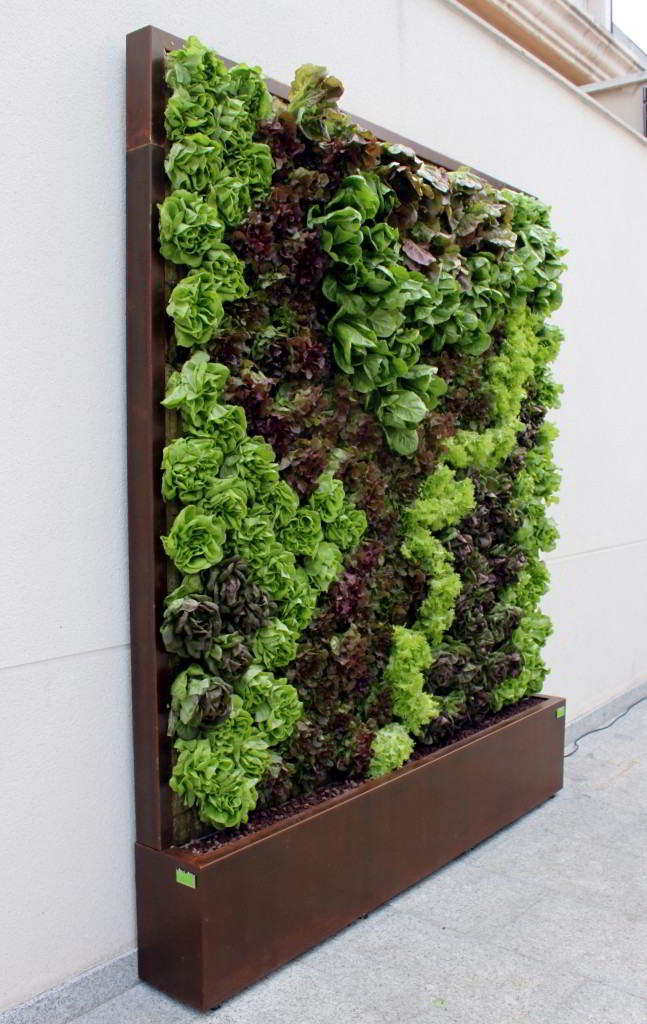 legumes em jardim vertical