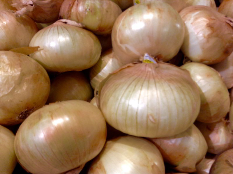 Cebolas
