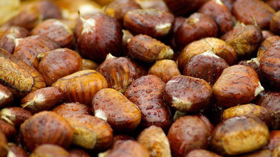 Castanhas