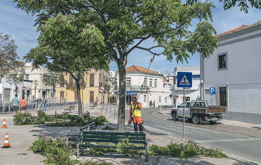 trabalho com podadora de vara Husqvarna