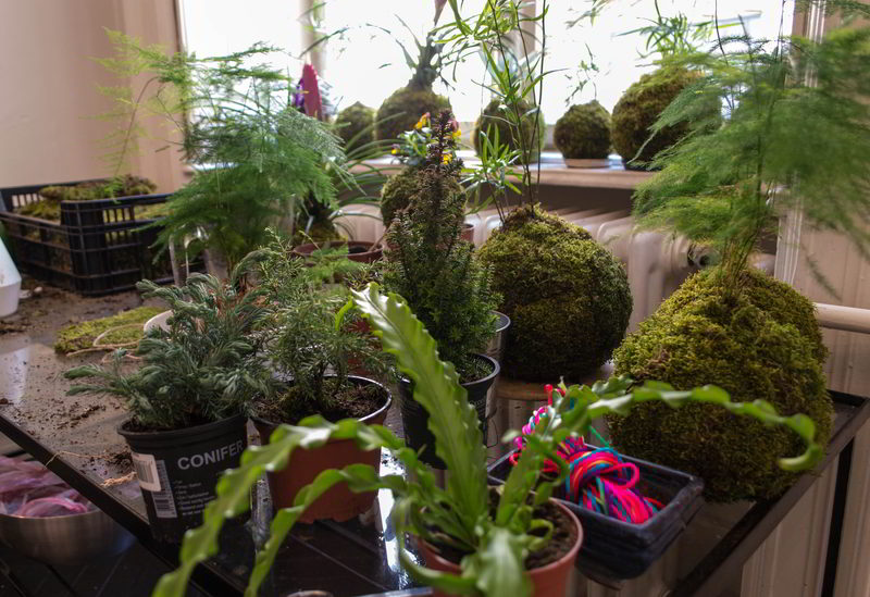 a fazer kokedama