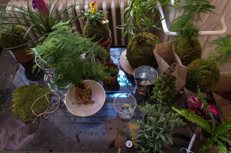 a fazer kokedama