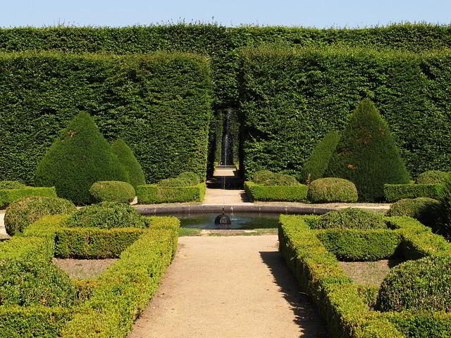 topiaria sebes