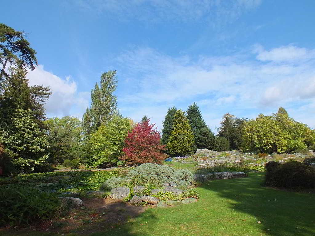 jardim com pedras