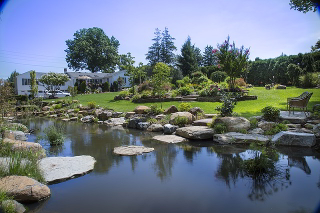 lago e jardim com rochas