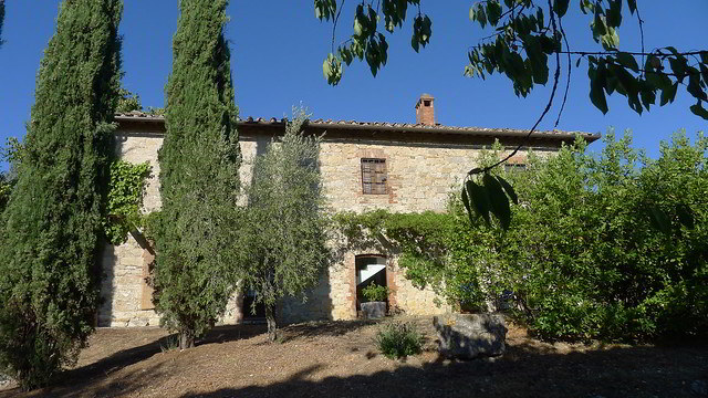 cipreste