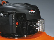 Motor Briggs & Stratton